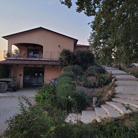 La Residenza Di Campagna Guest House Манчано Екстериор снимка