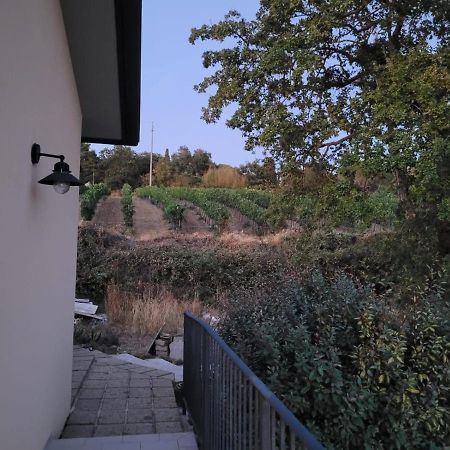 La Residenza Di Campagna Guest House Манчано Екстериор снимка