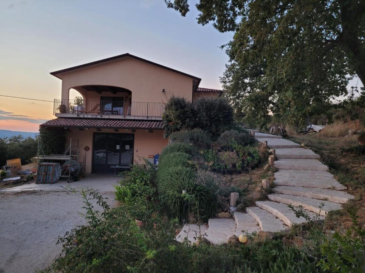 La Residenza Di Campagna Guest House Манчано Екстериор снимка
