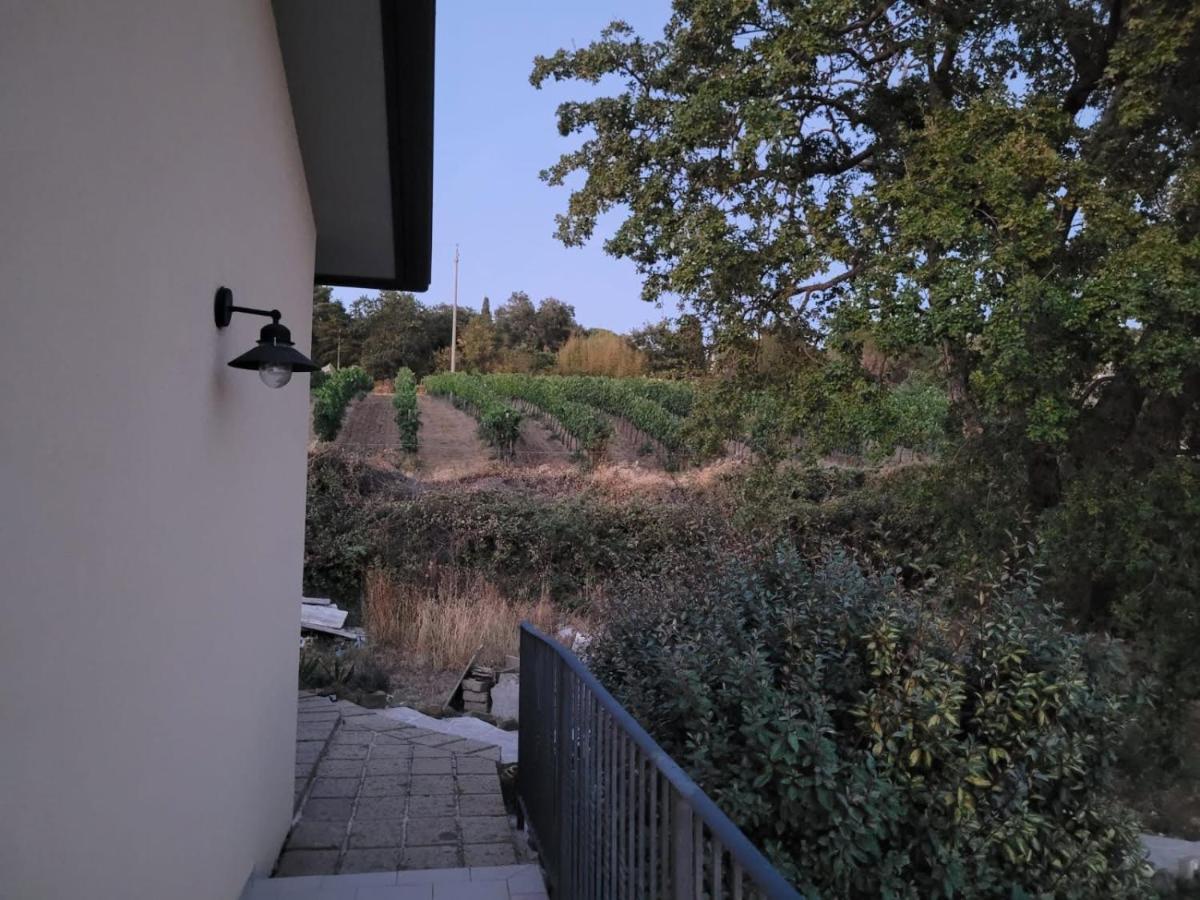 La Residenza Di Campagna Guest House Манчано Екстериор снимка