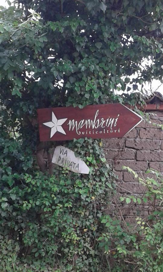 La Residenza Di Campagna Guest House Манчано Екстериор снимка
