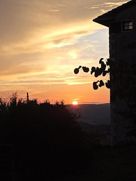 La Residenza Di Campagna Guest House Манчано Екстериор снимка