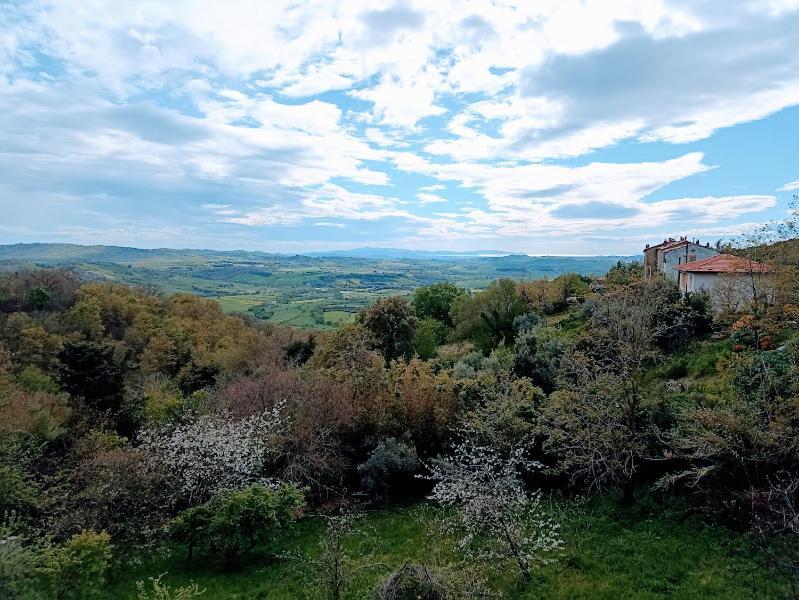 La Residenza Di Campagna Guest House Манчано Екстериор снимка